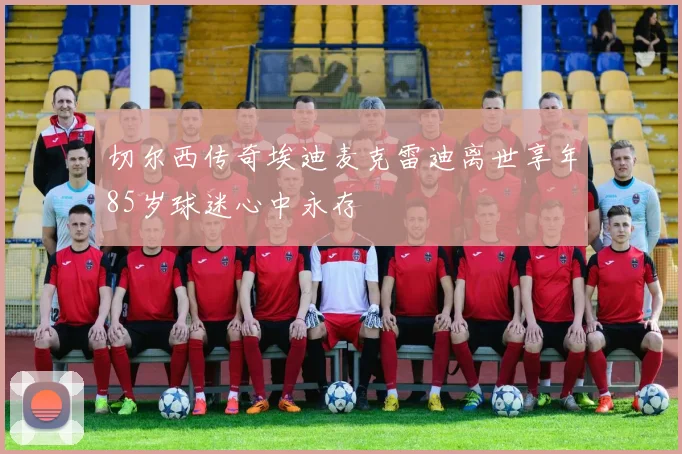 切尔西传奇埃迪麦克雷迪离世享年85岁球迷心中永存