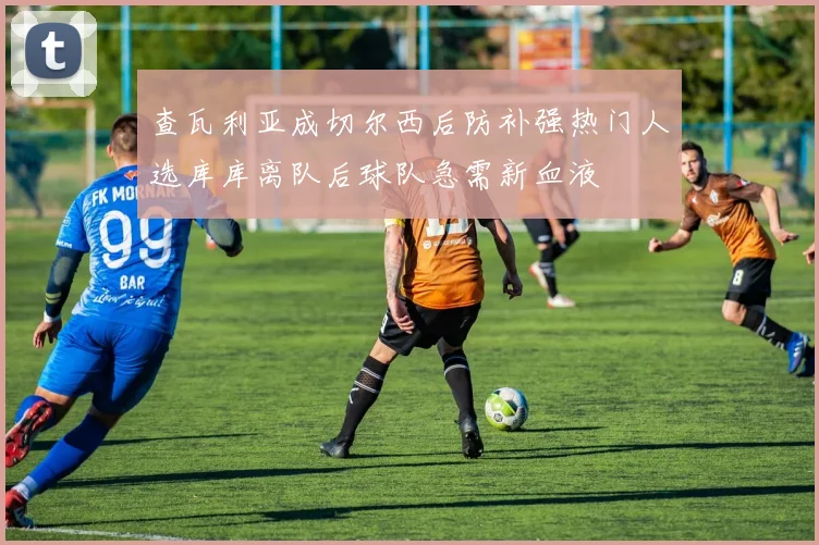 查瓦利亚成切尔西后防补强热门人选库库离队后球队急需新血液