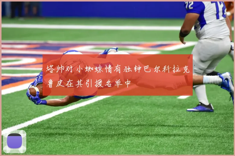 塔帅对小蜘蛛情有独钟巴尔科拉克鲁皮在其引援名单中