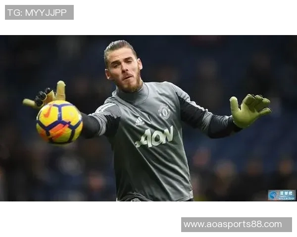 卡勒姆威尔逊谈绝杀事件认为门将保护过度强调身体接触的重要性